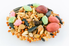 Корм для средних попугаев «Отборное зерно» - Фото 1