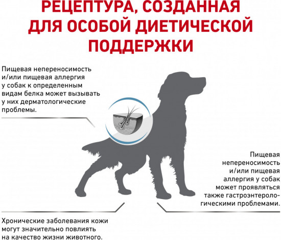 Корм для собак при пищевой аллергии