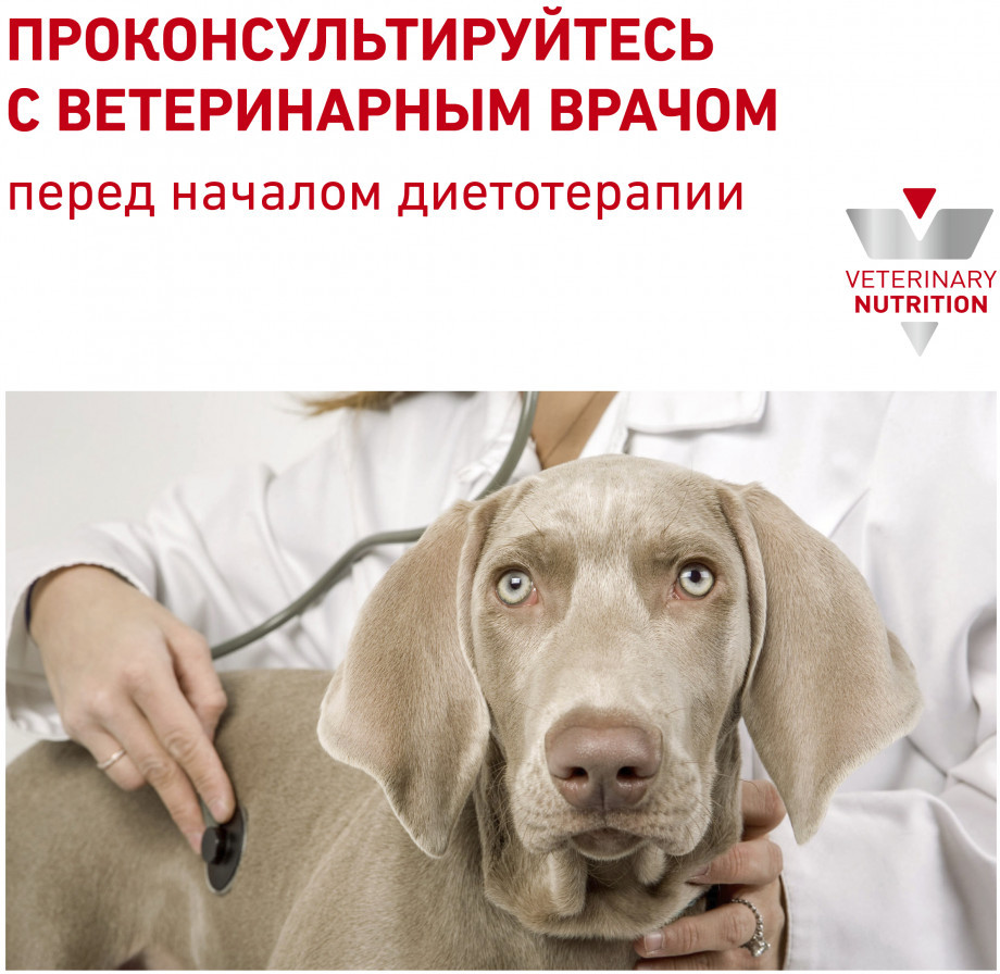 Корм для собак при пищевой аллергии или непереносимости «Hypoallergenic DR21» | Veterinary Diet | Royal Canin | Фото 7