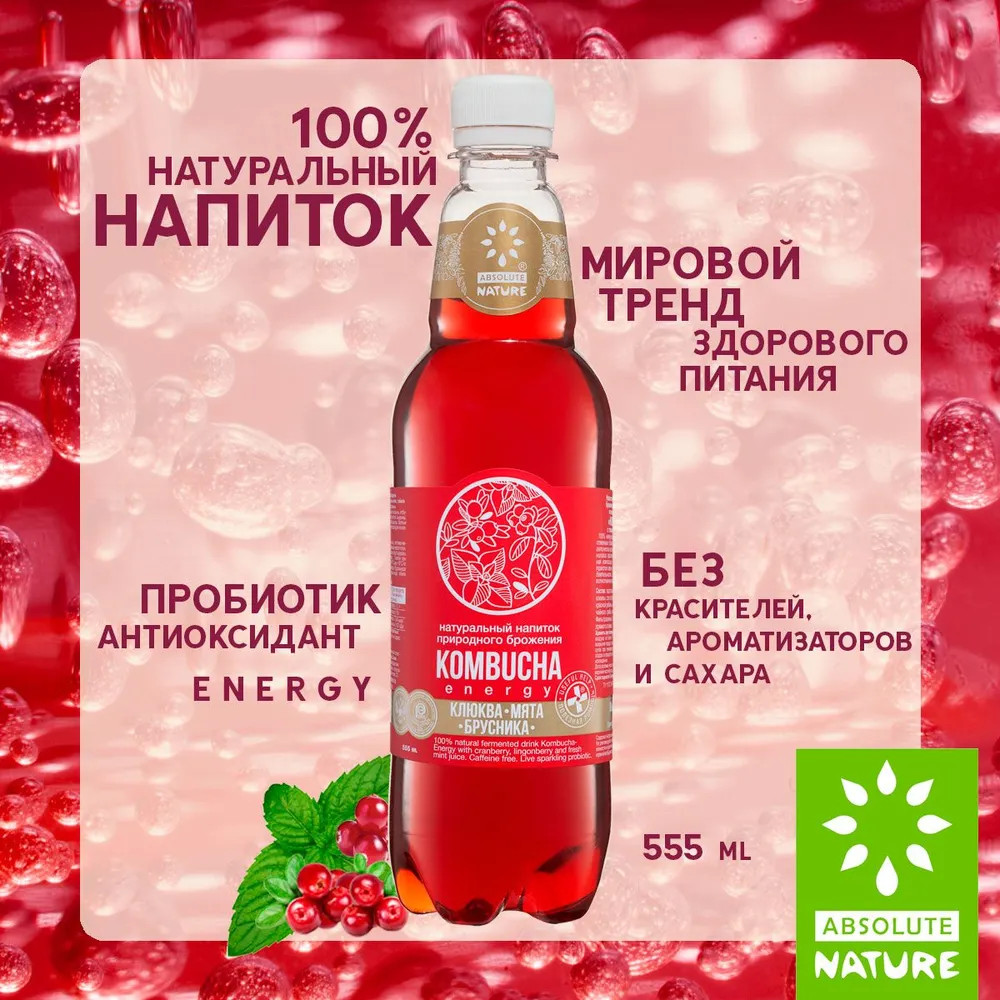 Напиток натурального брожения на чайном грибе с клюквой, брусникой и мятой «Kombucha Energy» | Живые соки | Фото 1