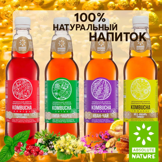 Напиток с клюквой, брусникой и мятой «Kombucha»
