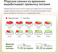 Корм для морских свинок - Фото 6