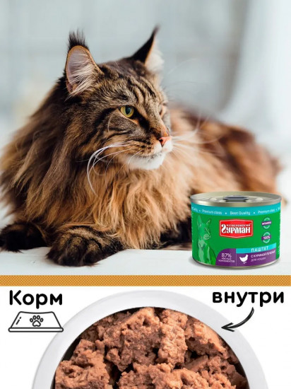 Паштет для кошек с индейкой