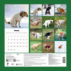 Календарь настенный на 2024 год «Все собаки делают это» - Фото 1