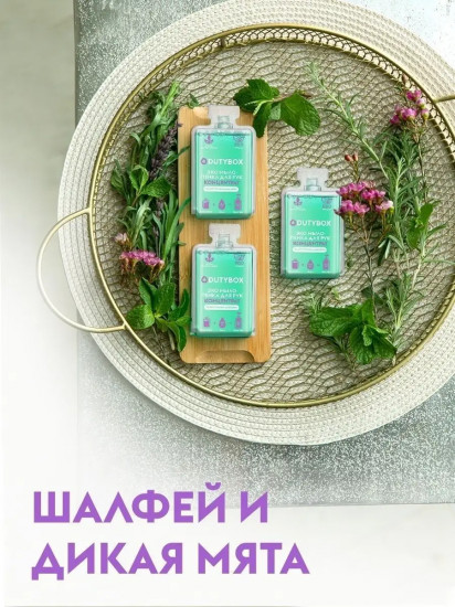 Концентрат мыла-пенки для рук на 500 мл «Шалфей и мята»