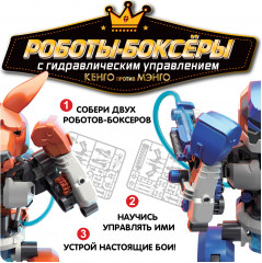 Робототехника «Роботы-боксеры» - Фото 2