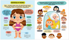 Тело человека - Фото 1