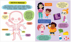 Тело человека - Фото 2