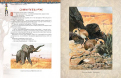 Африканские сказки - Фото 6