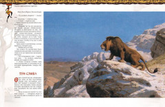 Африканские сказки - Фото 8