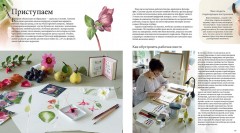 Ботанические портреты. Практическое руководство по рисованию акварелью - Фото 7