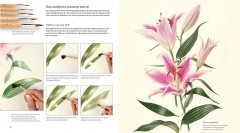 Ботанические портреты. Практическое руководство по рисованию акварелью - Фото 4