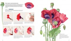 Ботанические портреты. Практическое руководство по рисованию акварелью - Фото 3