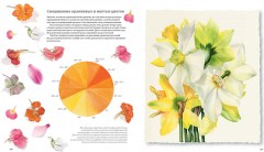 Ботанические портреты. Практическое руководство по рисованию акварелью - Фото 1