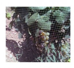 Сетка от птиц садовая - Фото 1