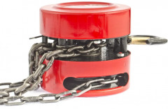 Таль цепная - Фото 2