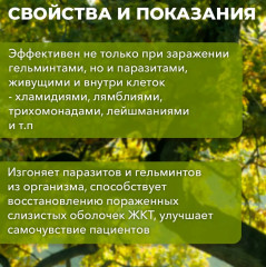 Таблетки «Гельминтам (глистам) и паразитам — стоп» - Фото 5
