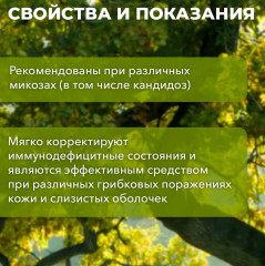 Таблетки «Грибок-минус» - Фото 4
