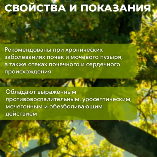 Таблетки «Почки здоровые»