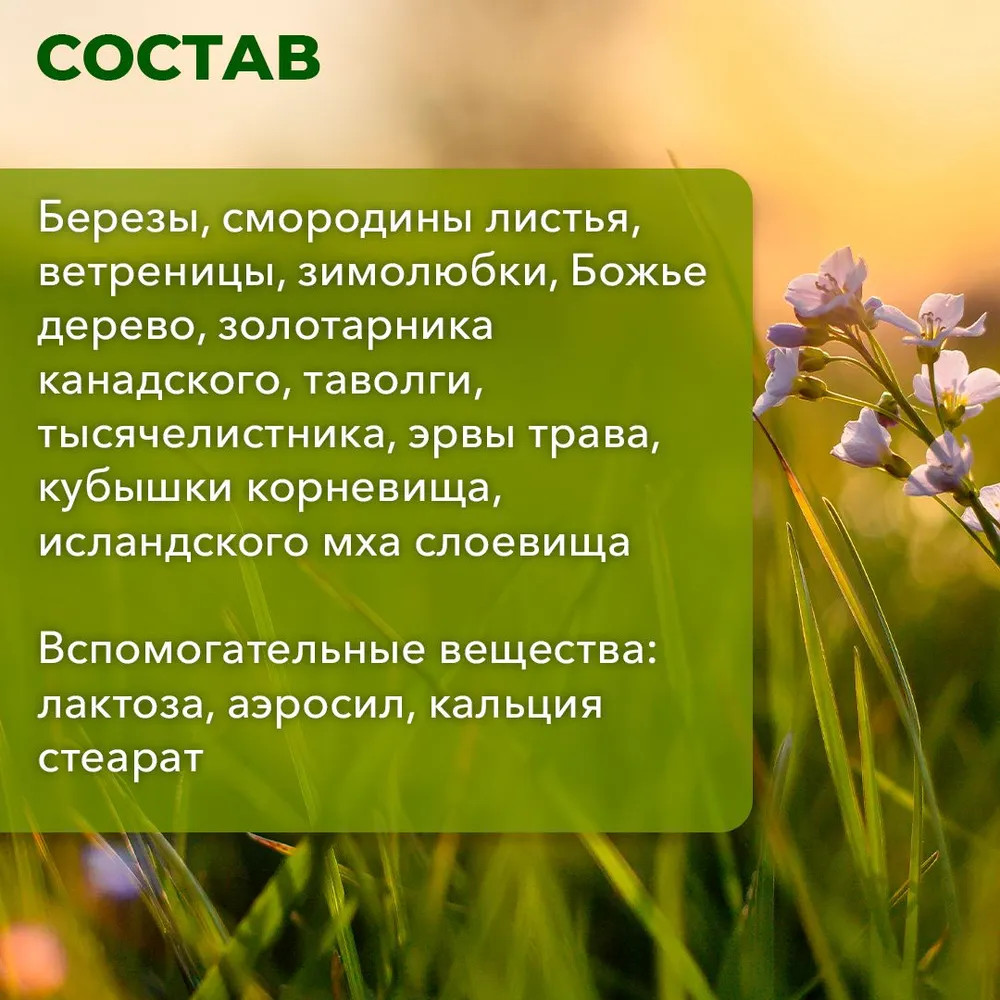 Таблетки «Почки здоровые» — Травник Гордеев