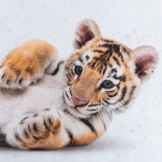 Комплект постельного белья «Little tiger»