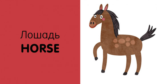 Английский язык. Животные