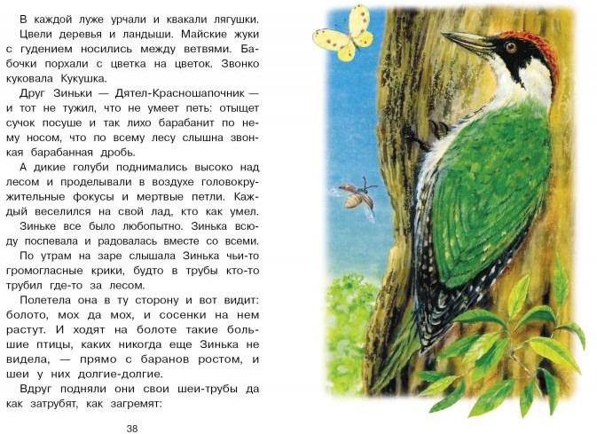 Синичкин календарь | Библиотека школьника | Фото 4