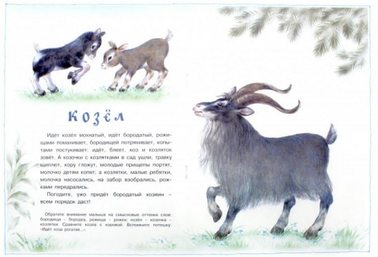 Жили у бабули. Домашние животные