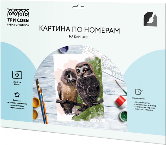 Картина по номерам «Совы»