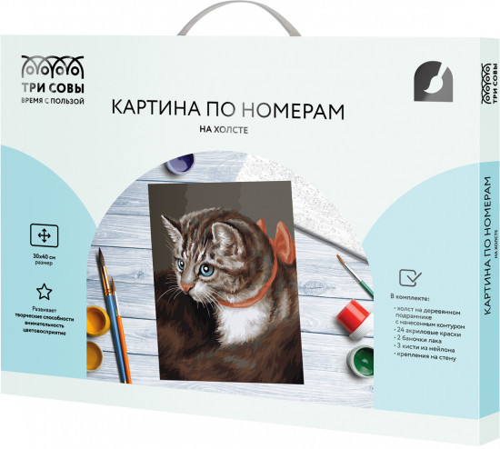 Картина по номерам «Любимая кошка»