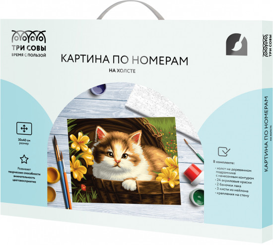 Картина по номерам «Котенок в корзине»