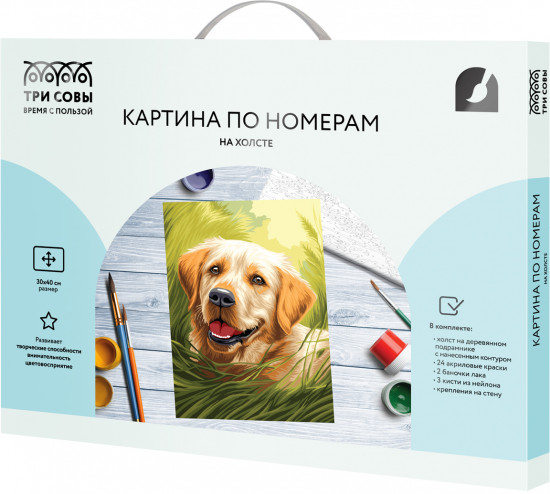 Картина по номерам «Лабрадор»