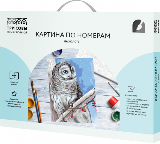 Картина по номерам «Белая сова»