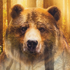 Полотенце кухонное «Лес» - Фото 3