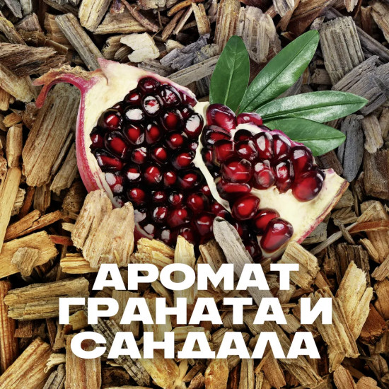 Дезодорант «Anarchy»