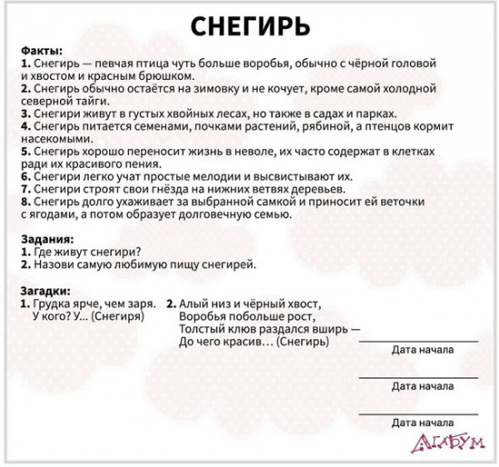 Набор карточек «Водные жители и птицы»