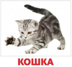 Набор карточек «Домашние и дикие животные» - Фото 2