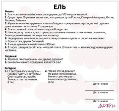 Набор карточек «Деревья и насекомые» - Фото 3