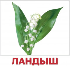 Набор карточек «Цветы и ягоды» - Фото 2