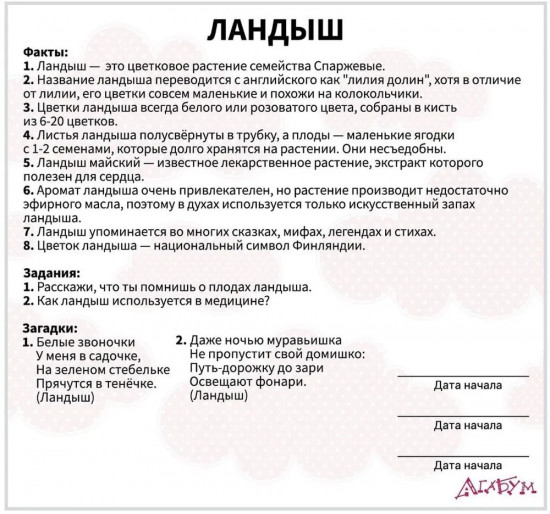 Набор карточек «Цветы и ягоды»