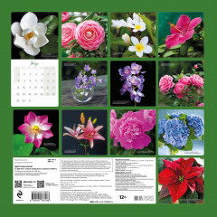 Календарь настенный на 2024 год «Цветочная магия. 12 фактов о самых прекрасных цветах планеты» - Фото 1