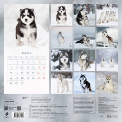 Календарь настенный на 2024 год «Хаски из сказки» - Фото 1