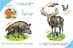 Лесные звери. Энциклопедия для самых маленьких - Фото 1