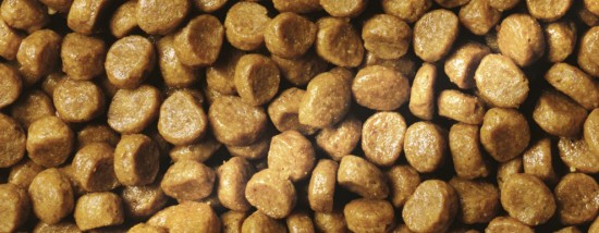 Корм для котят с курицей