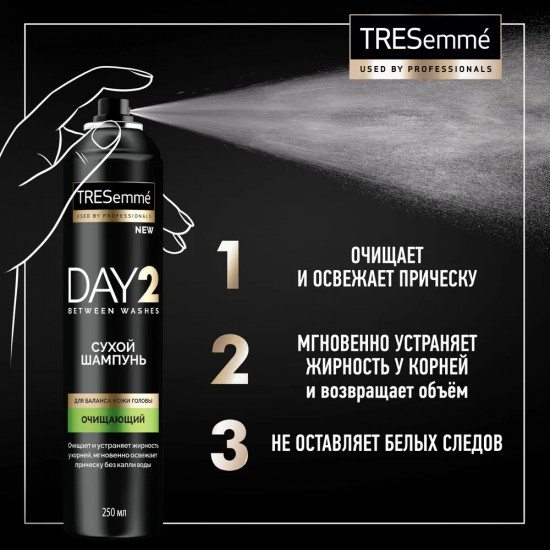 Шампунь для волос сухой «DAY 2»