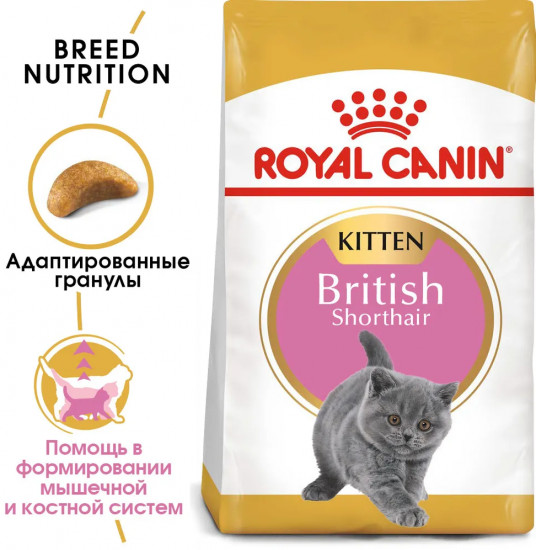 Корм сухой для британских короткошерстных котят