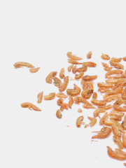 Корм для рыб и земноводных «Гаммарус» - Фото 2