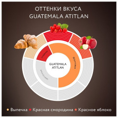 Кофе «Guatemala atitlan» - Фото 4