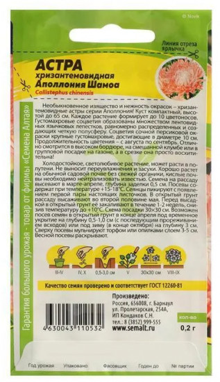 Астра «Аполлония шамоа»