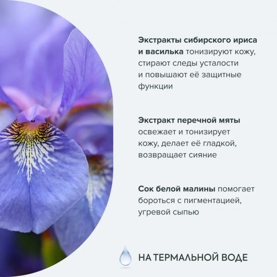 Набор для лица подарочный «Аптечка Агафьи»